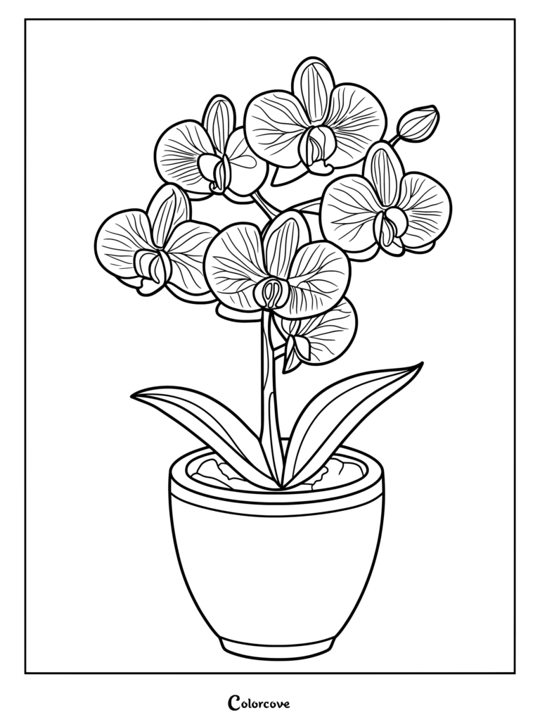 Potted orchid coloring page featuring detailed petals and leaves in a ceramic pot.