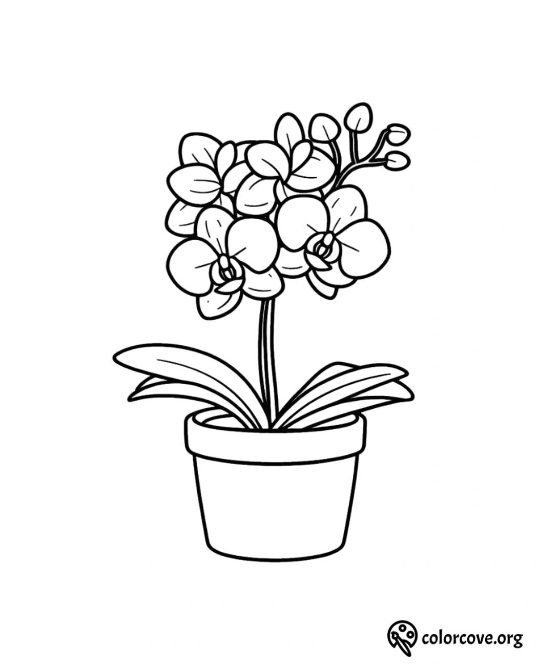 a black and white drawing of a plant in a pot