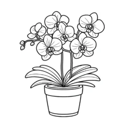 a black and white drawing of a plant in a pot