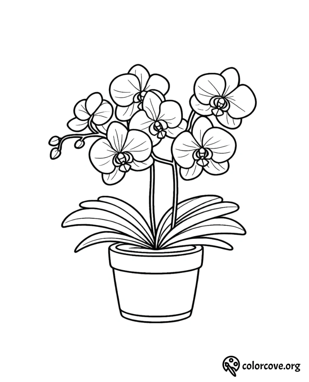 a black and white drawing of a plant in a pot