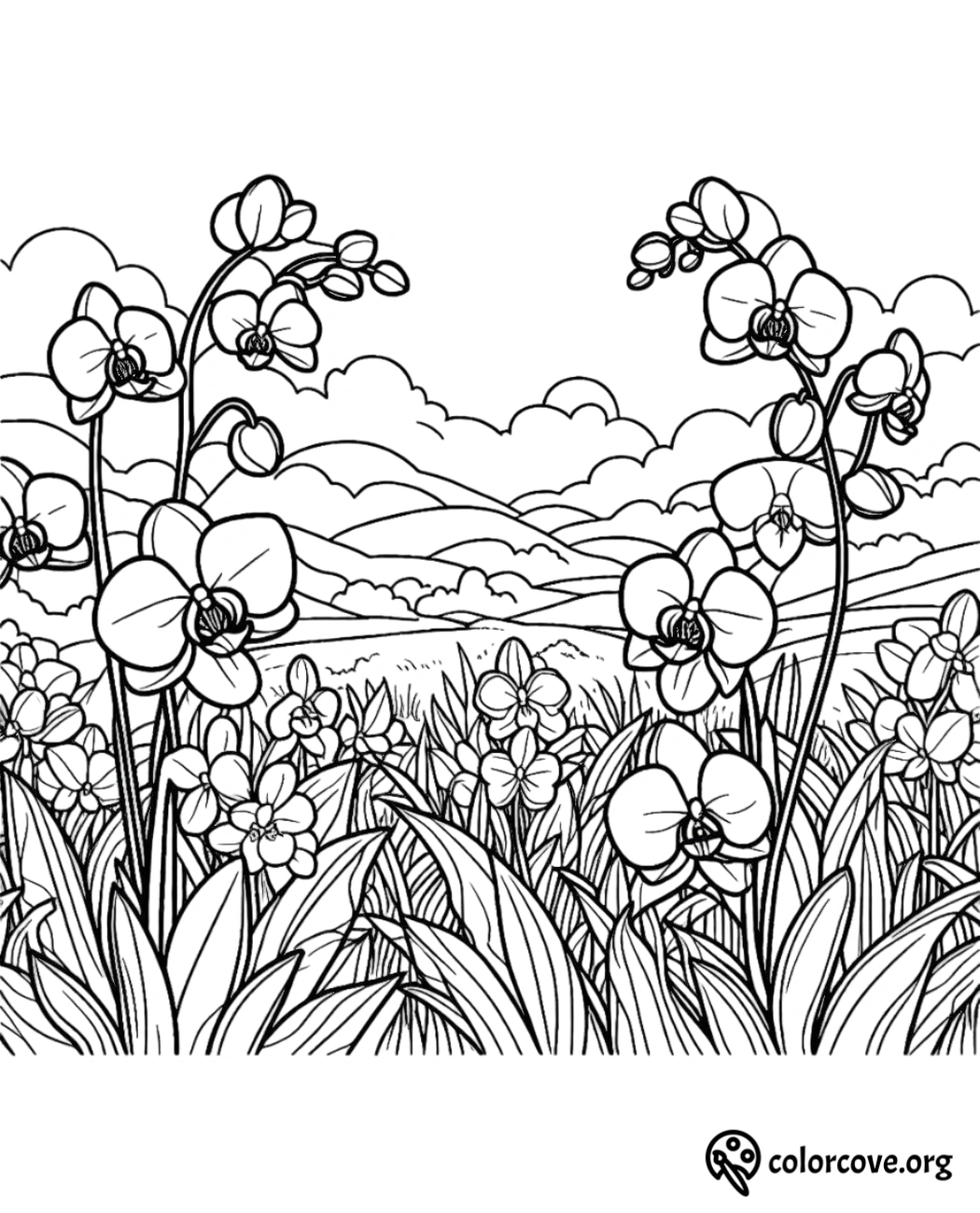 a coloring page of a field of flowers