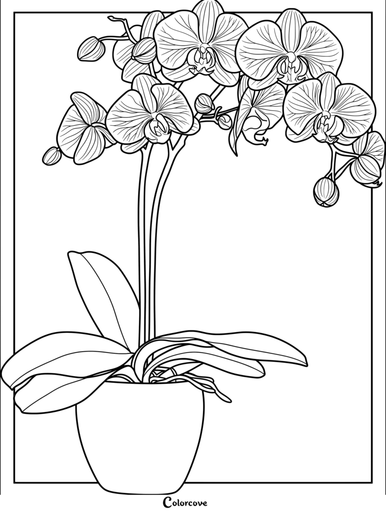 Detailed coloring page of a potted orchid plant featuring graceful blossoms and buds.