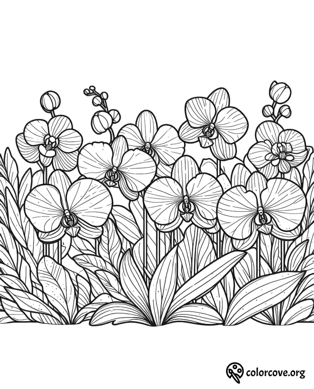 a black and white drawing of flowers and leaves