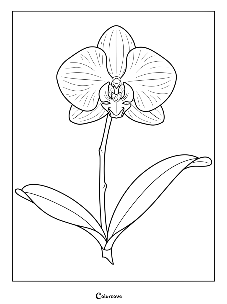 An intricate outline of a single orchid flower with two broad leaves for a coloring page.