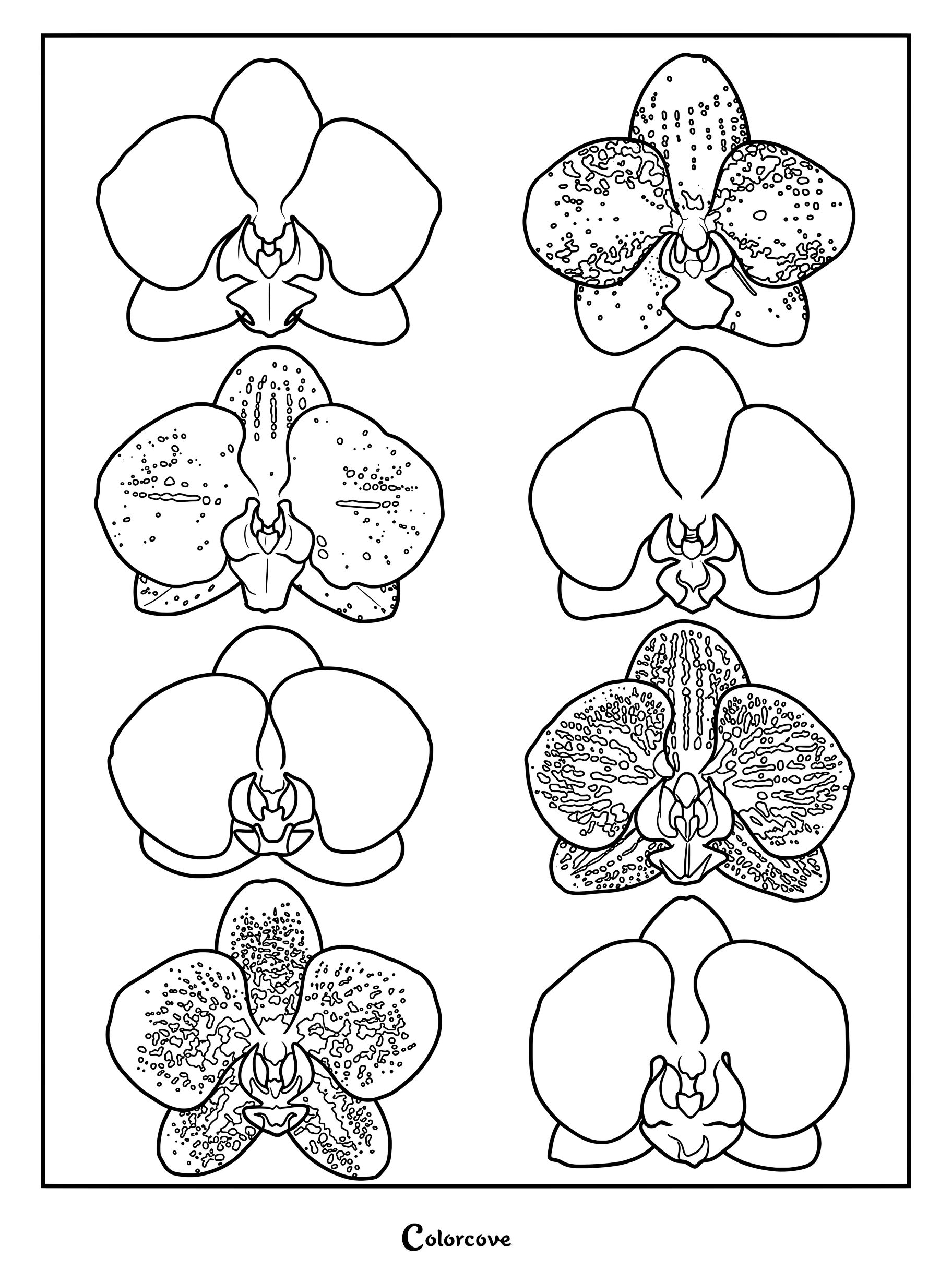Une page de coloriage à imprimer présentant huit fleurs d'Orchidées distinctes avec divers motifs et pétales unis.