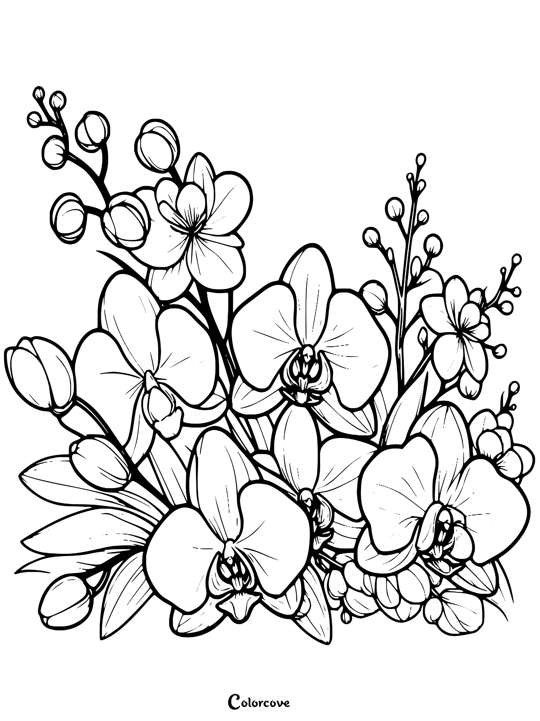 Page de coloriage d'Orchidées gratuite à imprimer avec une composition florale complexe.