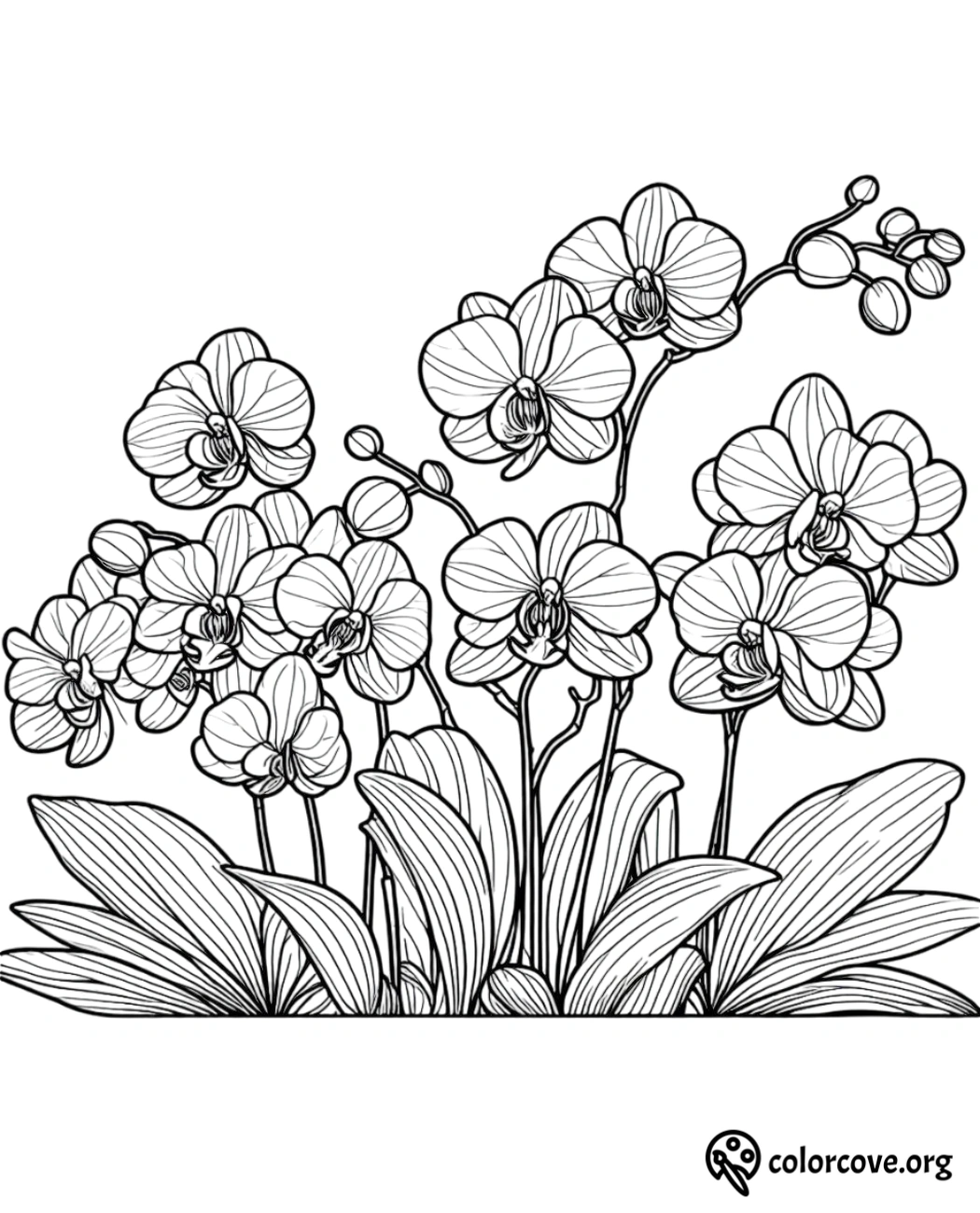 a black and white drawing of flowers