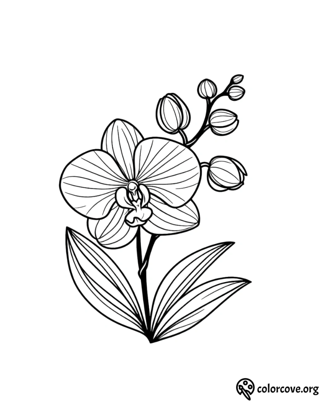 a black and white drawing of a flower