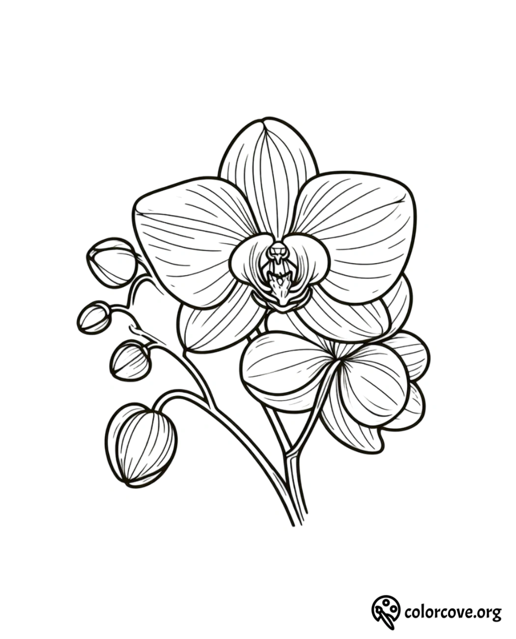 a black and white drawing of a flower