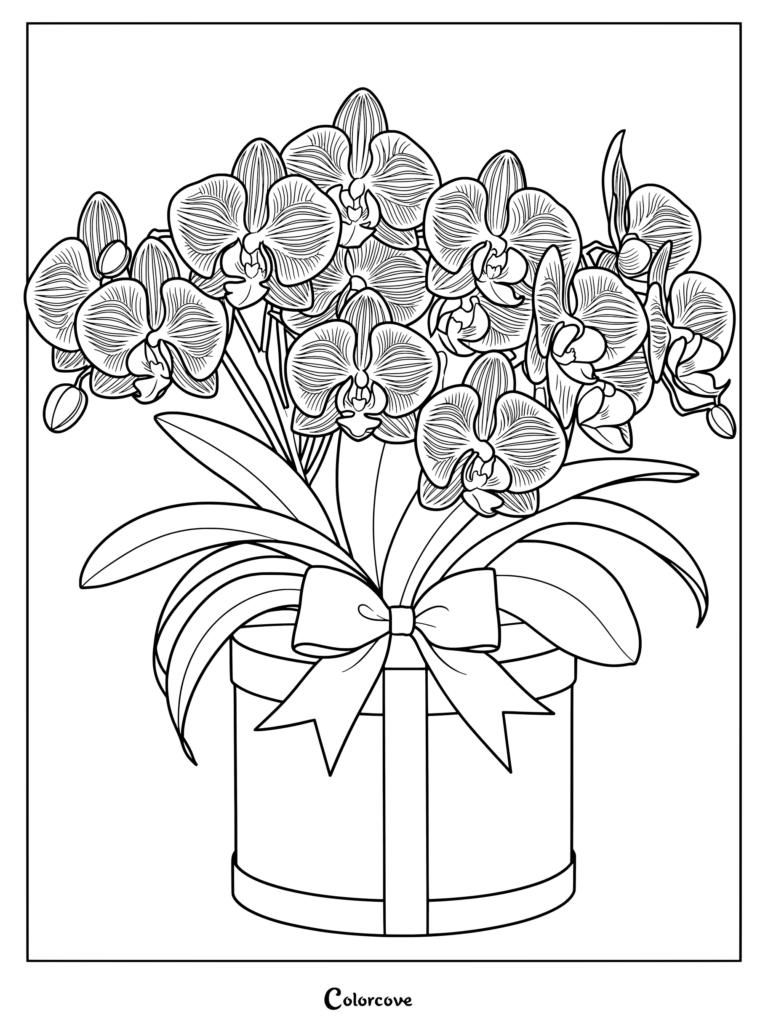 Detailed orchid coloring page featuring blooming Phalaenopsis flowers in a decorated gift box.