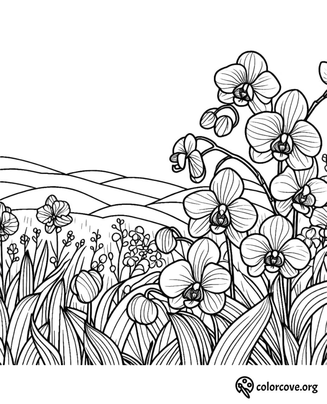 a black and white drawing of flowers