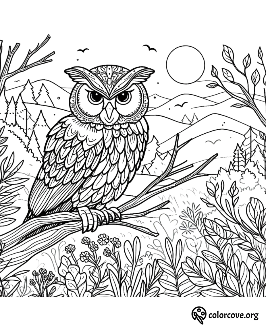 a coloring page of an owl on a tree branch