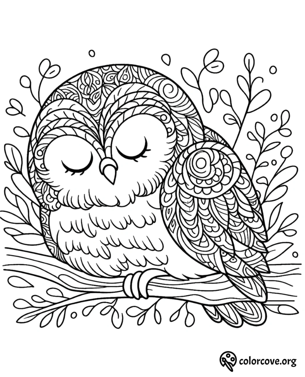 a coloring page of an owl