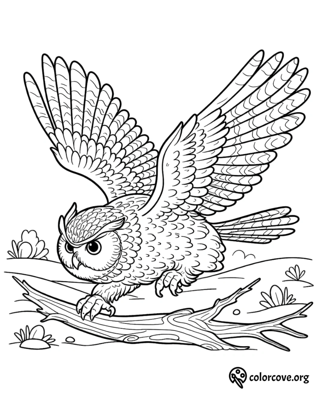 a coloring page of an owl