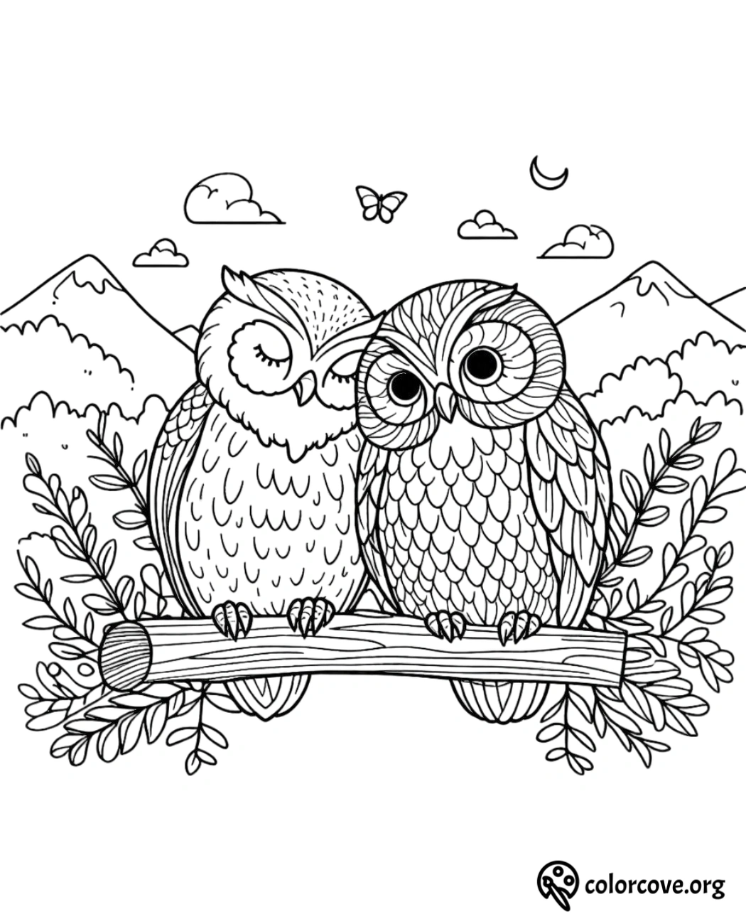 two owls on a branch