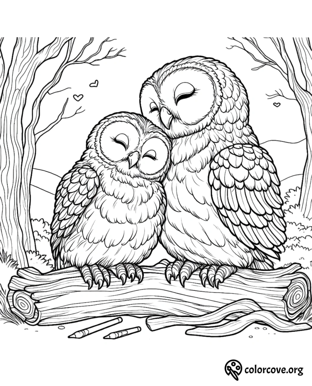 two owls sitting on a log