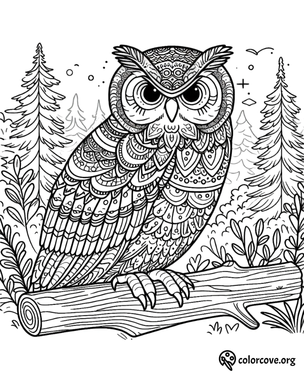 a coloring page of an owl