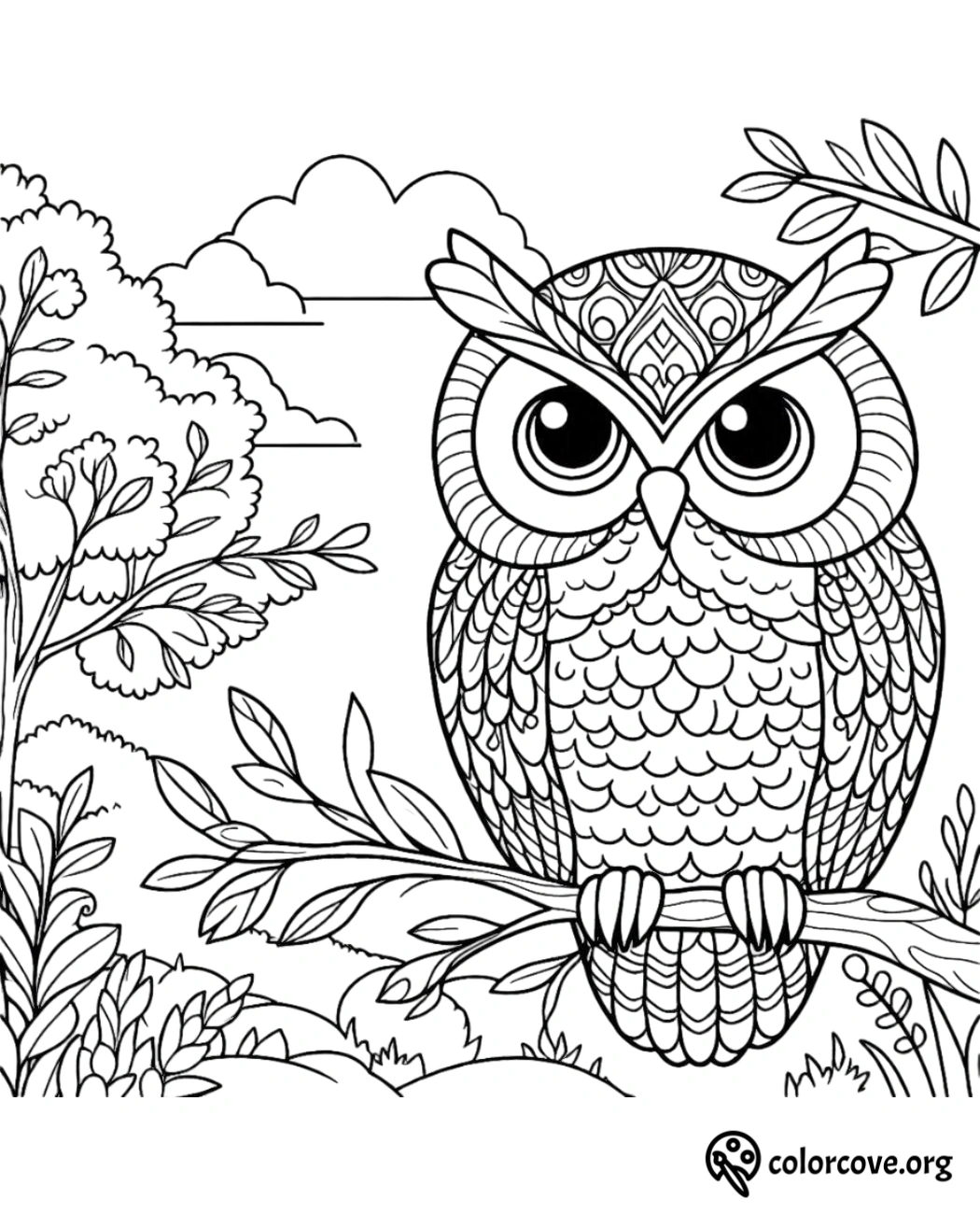 a coloring page of an owl