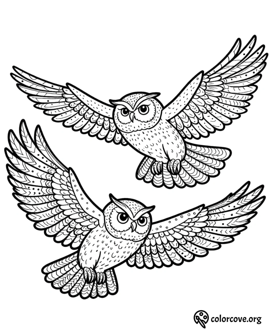 a group of owls flying