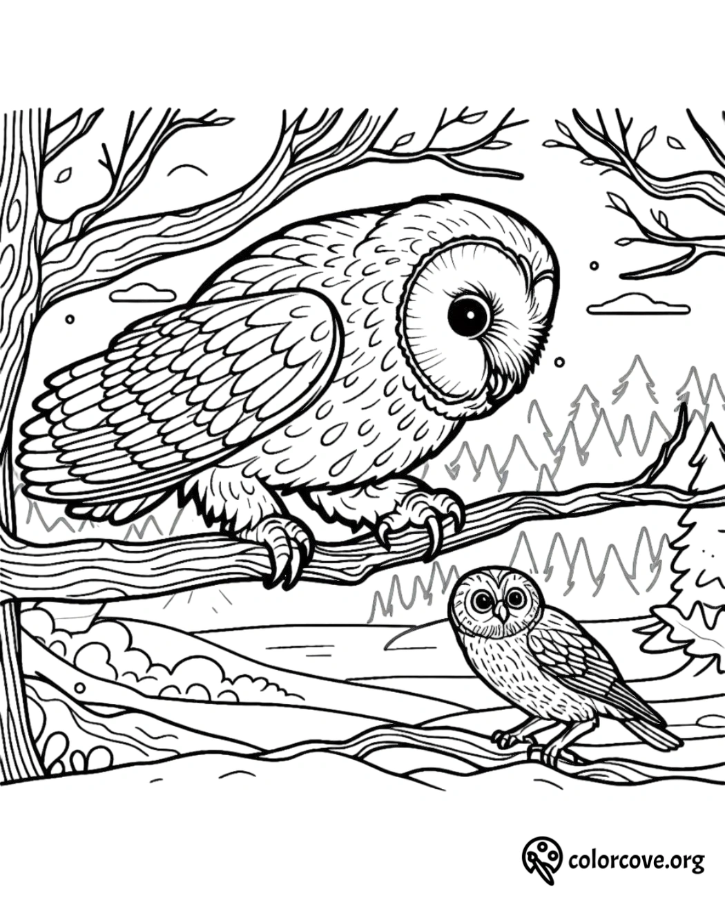 a coloring page of an owl and a baby owl