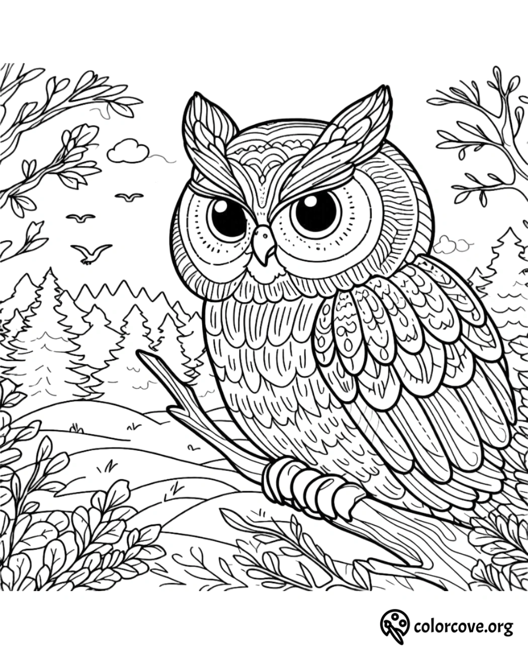 a coloring page of an owl