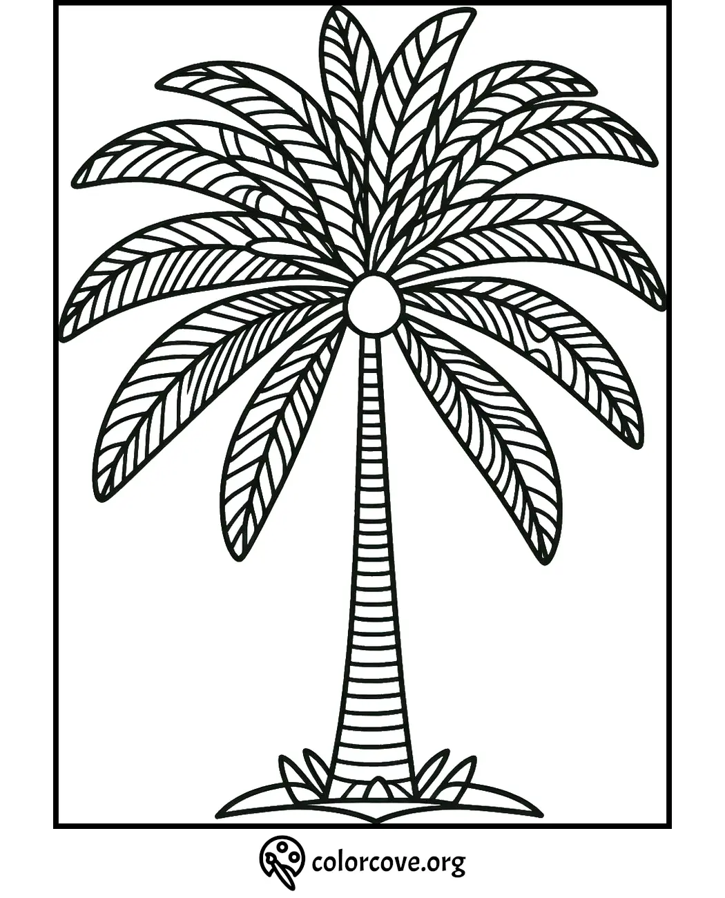 Palm tree coloring page for kids and adults featuring detailed leaves and trunk. Free printable at colorcove.org.