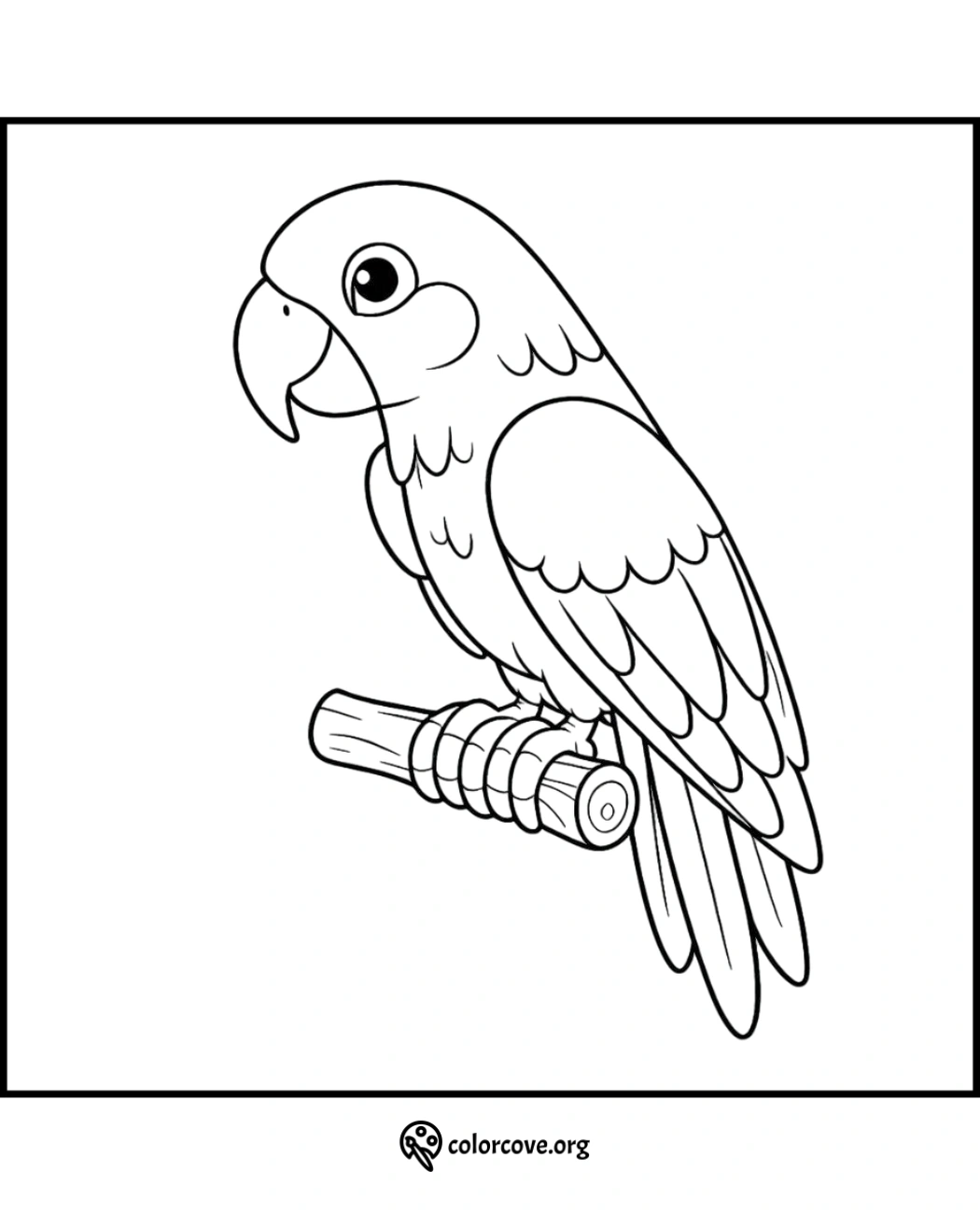 Parrot coloring page for kids to print and color. Free printable bird coloring sheet from colorcove.org. Fun and educational activity.