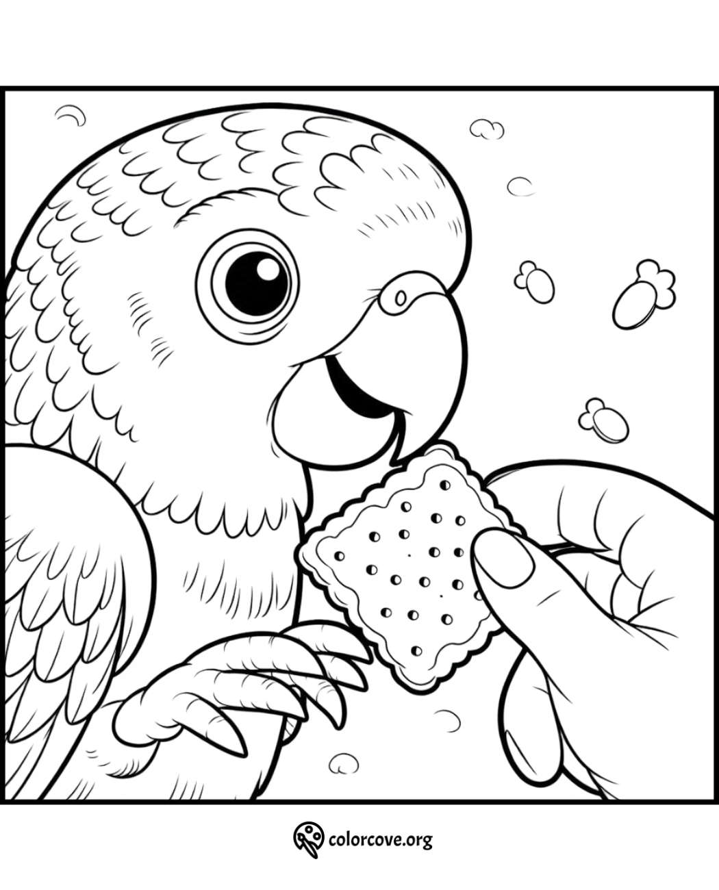 Coloring page featuring a cheerful parrot being fed a cracker by hand, perfect for kids and bird enthusiasts.