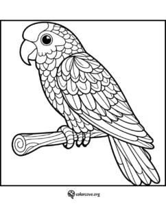 Parrot coloring page featuring an intricately detailed parrot perched on a branch, perfect for kids and adult coloring enthusiasts.