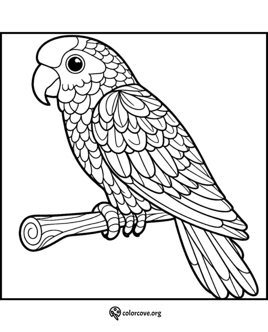 Parrot coloring page featuring an intricately detailed parrot perched on a branch, perfect for kids and adult coloring enthusiasts.