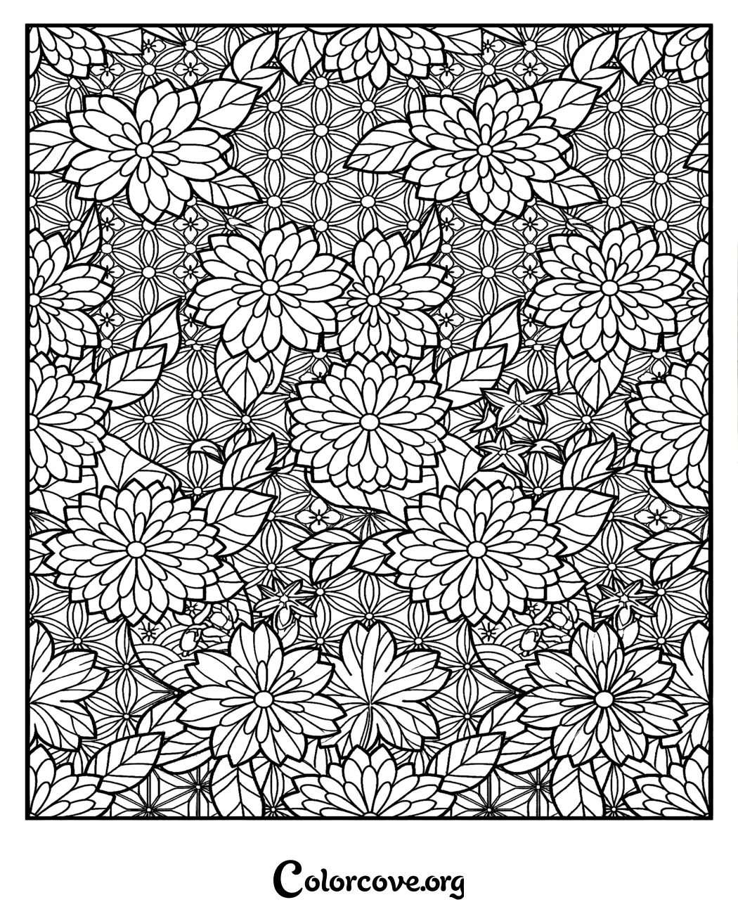 Unwind with this beautiful floral pattern coloring page that combines large, blooming flowers with a detailed geometric background. Download and print this relaxing design in seconds for an instant creative escape.