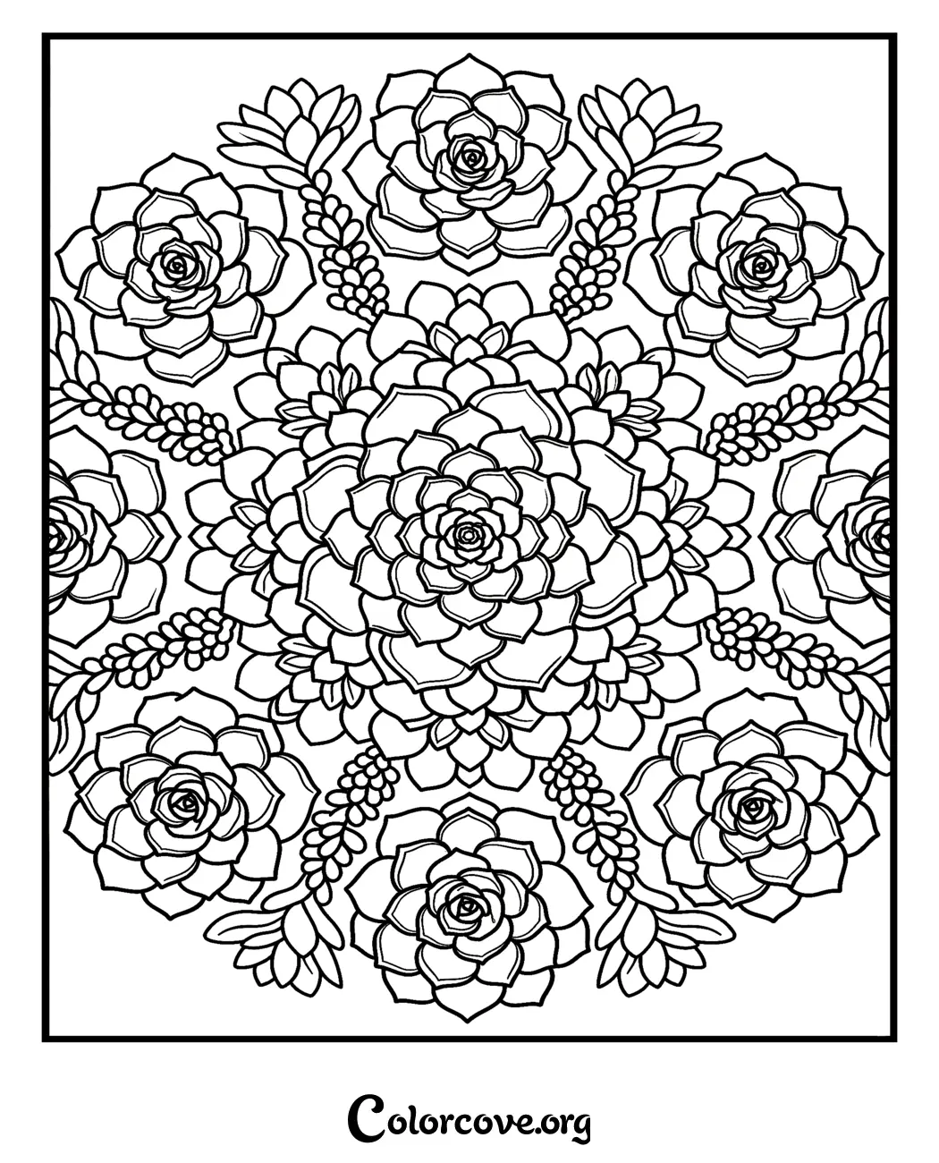 Unwind with this intricate succulent mandala pattern coloring page. Download and print this beautiful floral design instantly to enjoy a relaxing and creative coloring session.