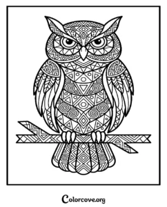 A detailed owl patterned coloring page for adults and kids featuring geometric shapes and intricate designs on a branch.