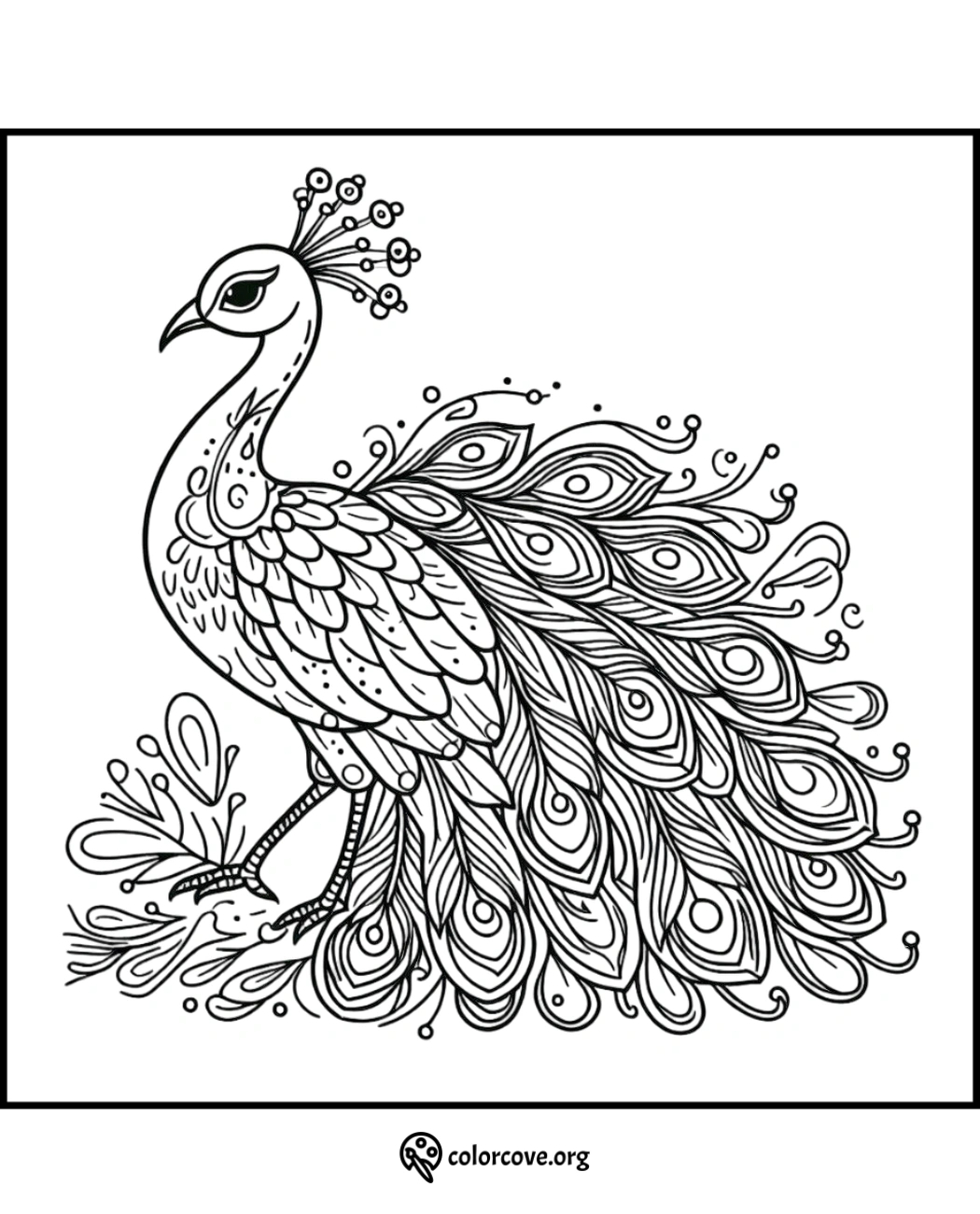 Peacock coloring page with intricate feathers and details, perfect for mindfulness and stress relief coloring activities.