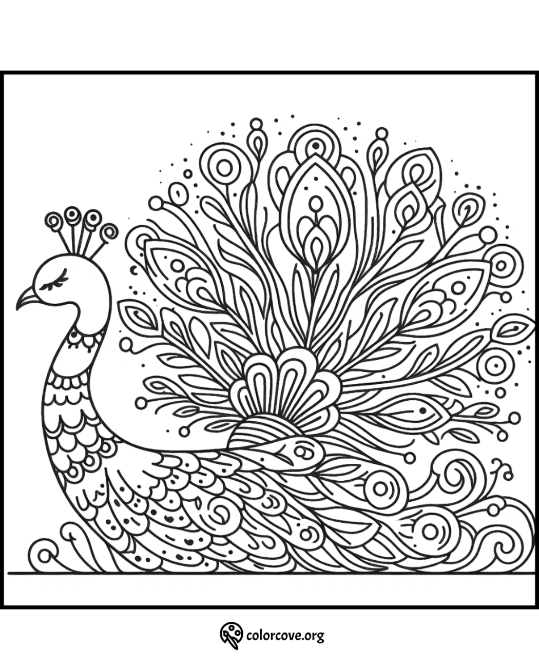 Intricate peacock coloring page design with detailed feathers, free printable at colorcove.org for relaxation and creativity.