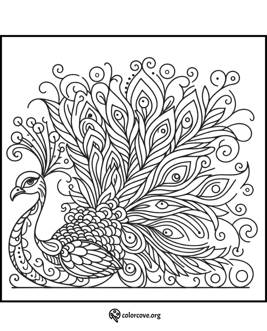 Detailed peacock coloring page with intricate feather patterns, perfect for adults and kids. Coloring fun at colorcove.org.