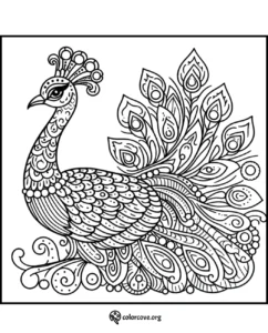 Intricate peacock coloring page with detailed patterns and majestic feathers. Perfect for adult coloring enthusiasts from colorcove.org.