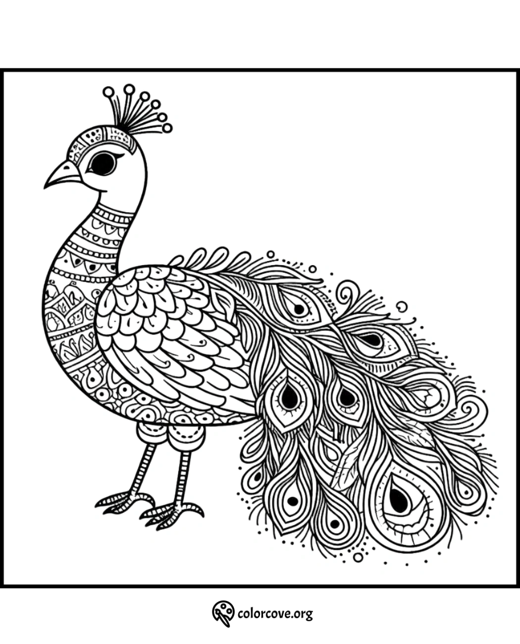 Detailed peacock coloring page with intricate patterns and ornate feathers. Perfect for adult coloring enthusiasts.