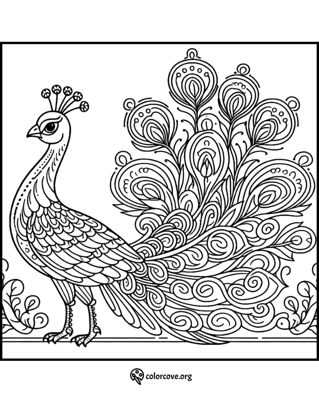 Peacock coloring page with intricate patterns on feathers, ideal for stress-relief and creativity. Perfect for adults and kids.