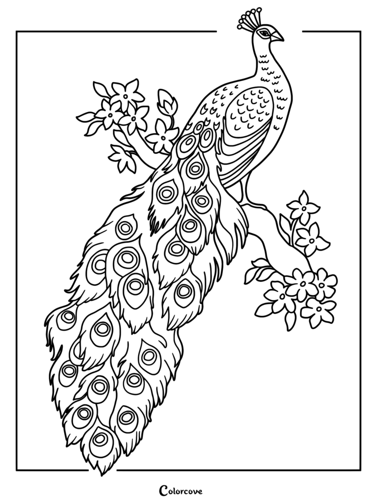 A detailed peacock coloring page featuring a bird with a long, patterned tail resting on a branch with blooming flowers.