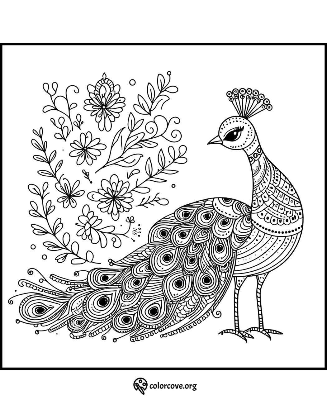 Peacock coloring page with intricate designs and floral patterns for relaxation and creativity from ColorCove.