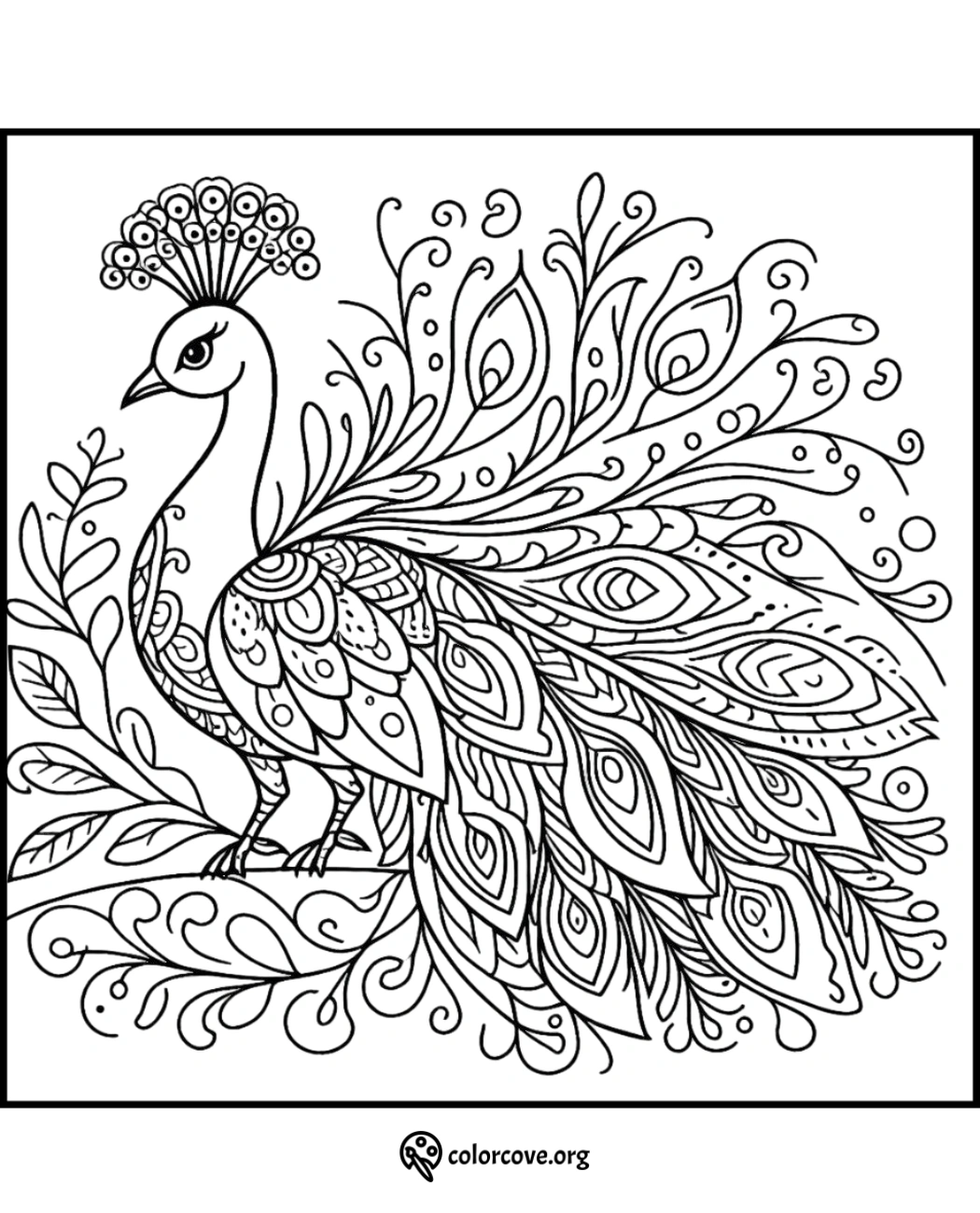 Detailed peacock coloring page with intricate feather patterns and foliage, perfect for relaxation and coloring enthusiasts.