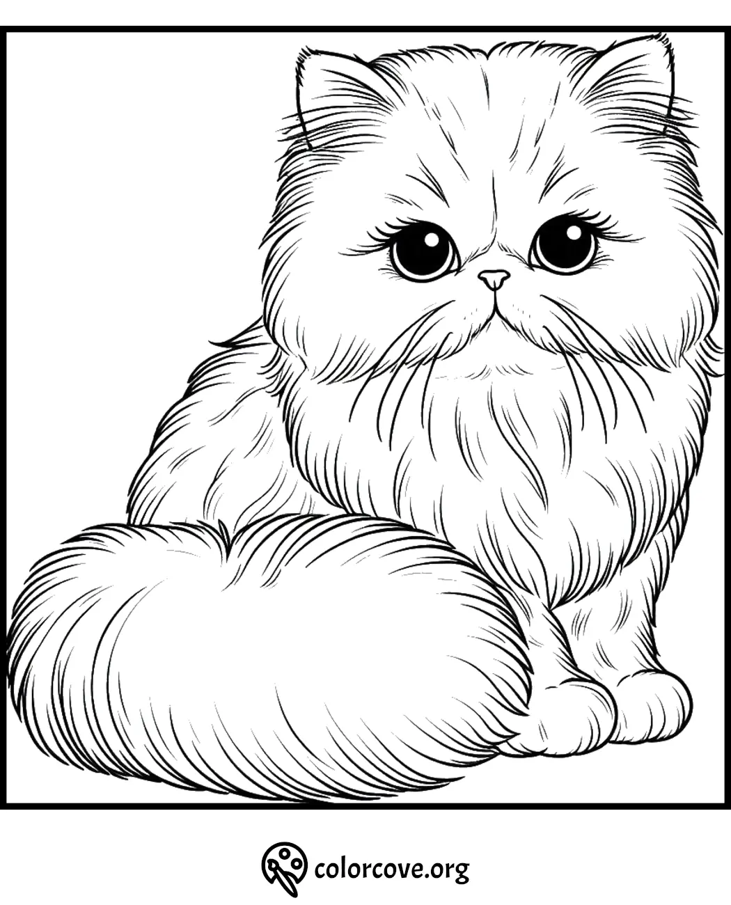 Fluffy Persian cat coloring page for kids and adults, with detailed lines for creative coloring at colorcove.org.