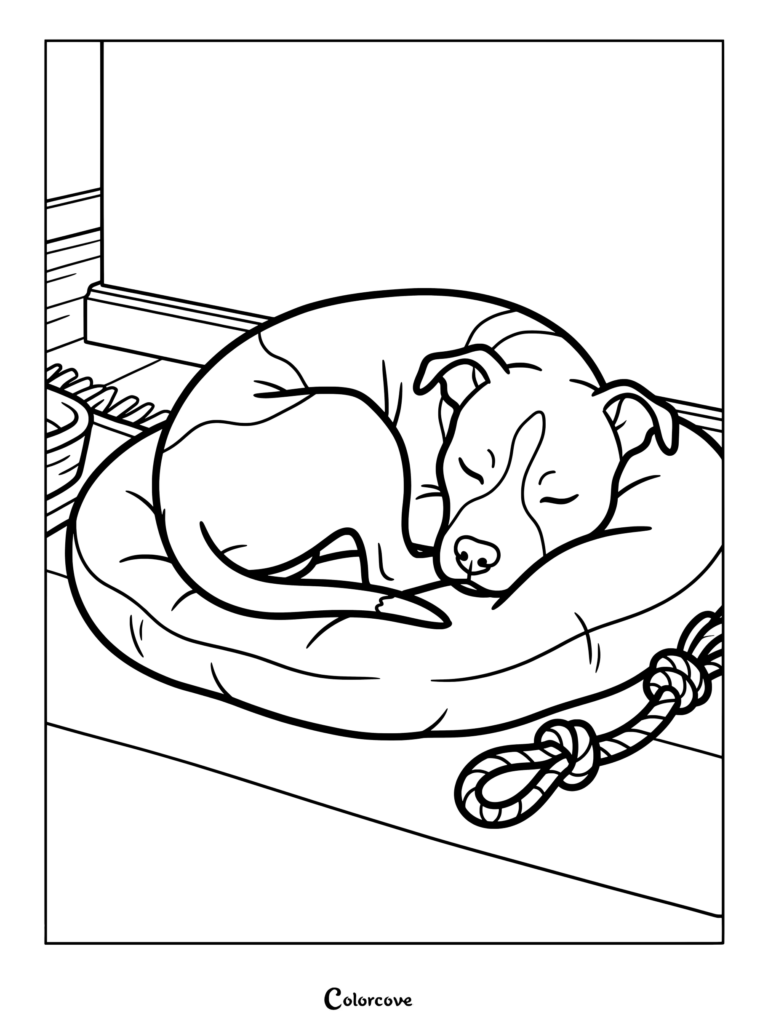 Pitbull coloring page featuring a dog sleeping curled up in a round bed with a rope toy nearby.