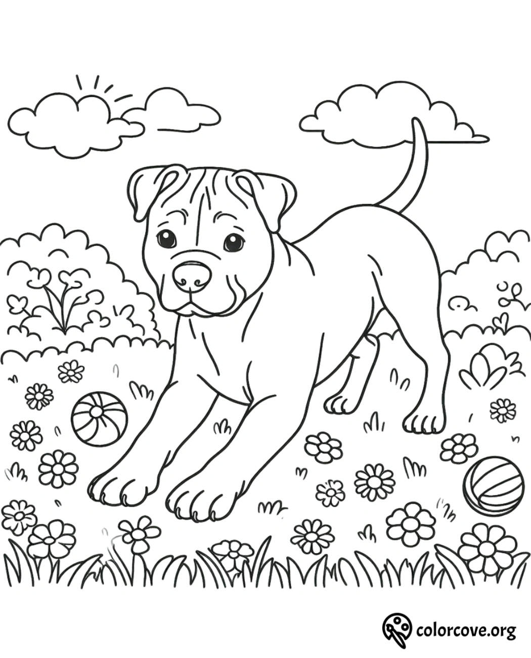 a dog in a field with flowers and balls