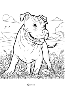 25 Free Pitbull Coloring Pages