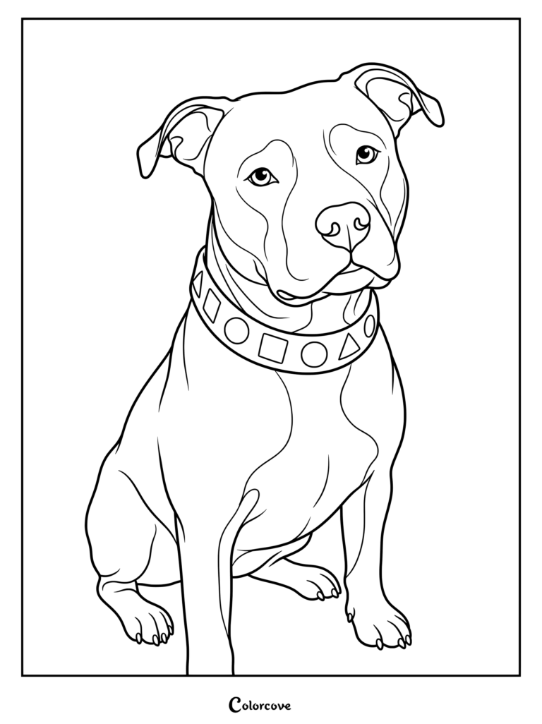 A printable coloring page featuring a sitting Pitbull wearing a wide collar decorated with geometric shapes.