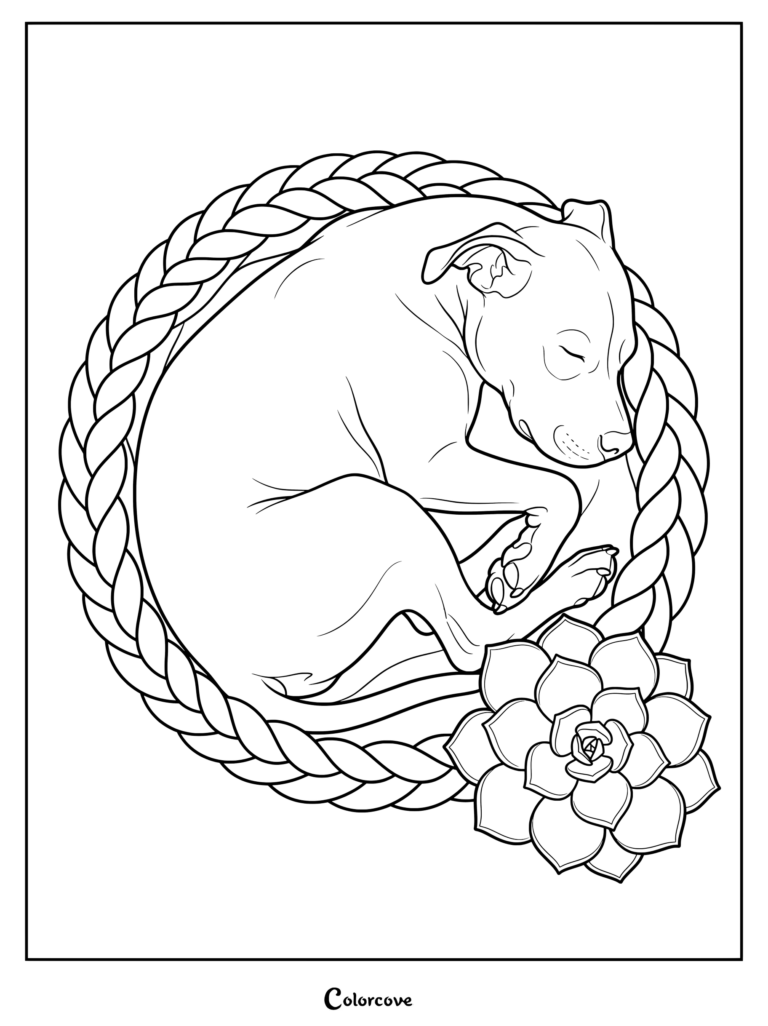 A sweet Pitbull coloring page showing a puppy sleeping inside a braided circle beside a succulent flower.