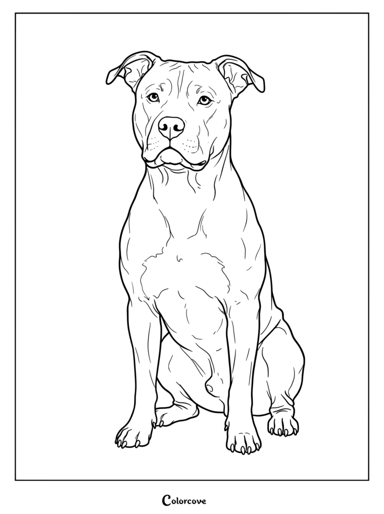A printable coloring page featuring a loyal Pitbull sitting upright.