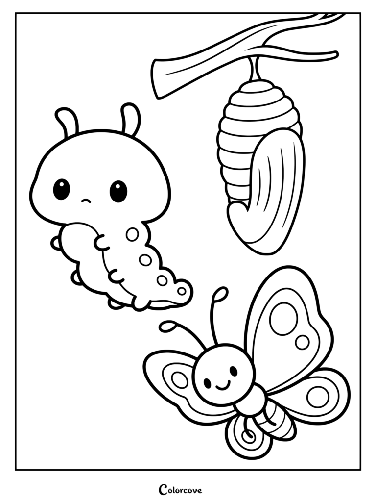 Preschool coloring page showing a caterpillar, a chrysalis hanging from a branch, and a butterfly